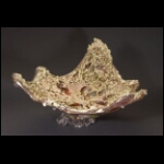 Reaching the Planet's Surface 11x16 x16 in.jpg